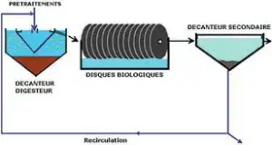 schema-biodisque